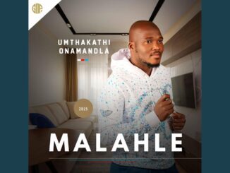 Malahle - Siyashizila