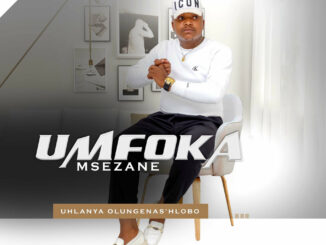 uMfoka Msezane Biography